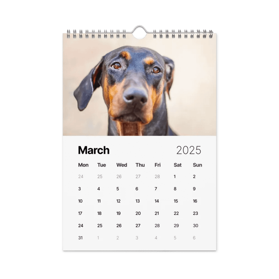 The first year - 2025 Calendar product image (4)