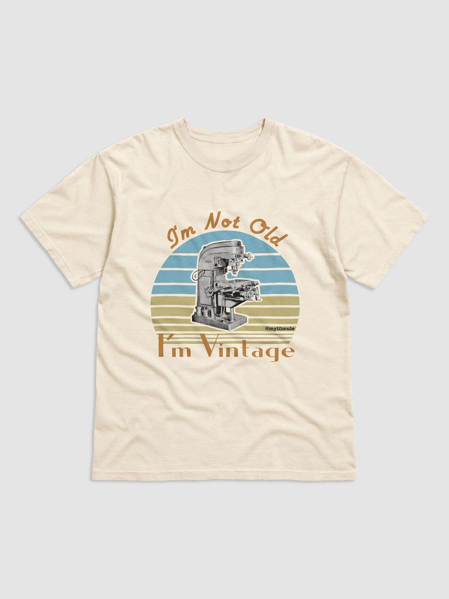 Heavyweight T-Shirt (Rotary Mill) product image (1)