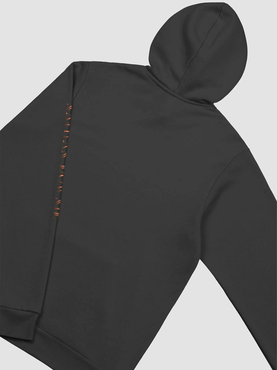 Nathan Downie Emblem - Hoodie - Black product image (4)
