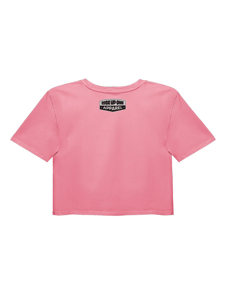 American Babe - FAFO - Crop Top product image (2)