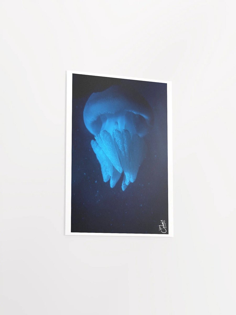 Shipwreak - Print product image (3)