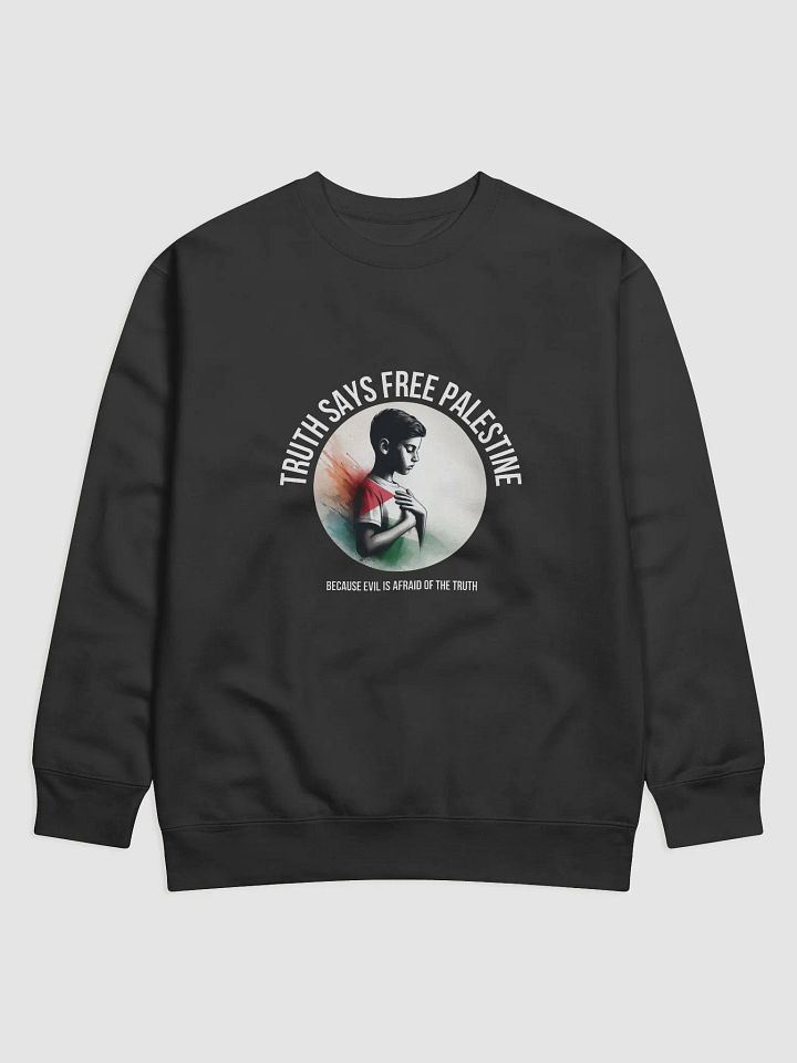 Americana Vibes Premium Sweatshirt | Evil fears truth, and truth says: Free Palestine. product image (5)