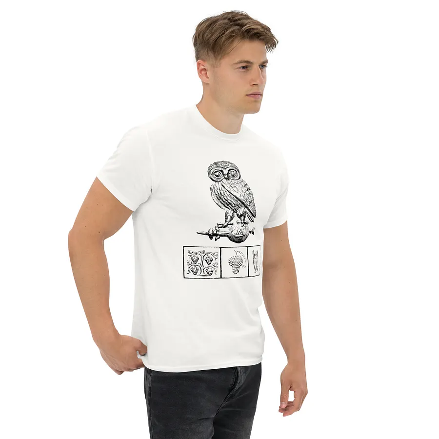 Athenian Owl Ancient Greek Art circa 150 BC, T-Shirt product image (4)