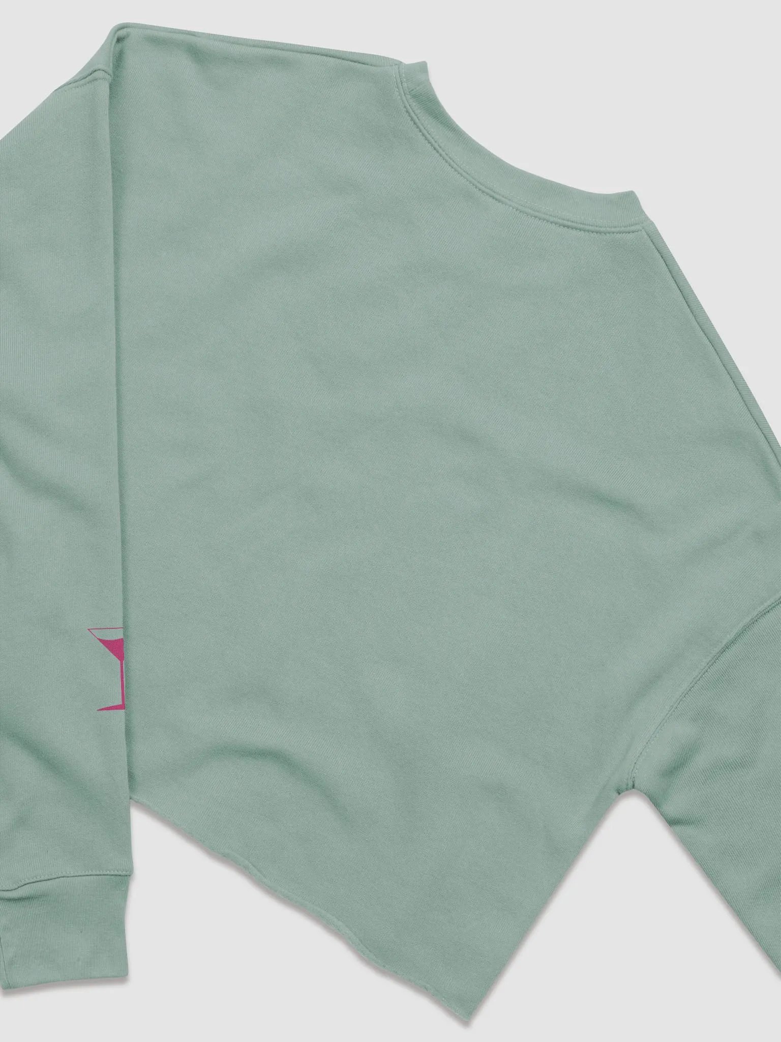 Bitchez Be Boozy Cropped Long Sleeve Top product image (12)