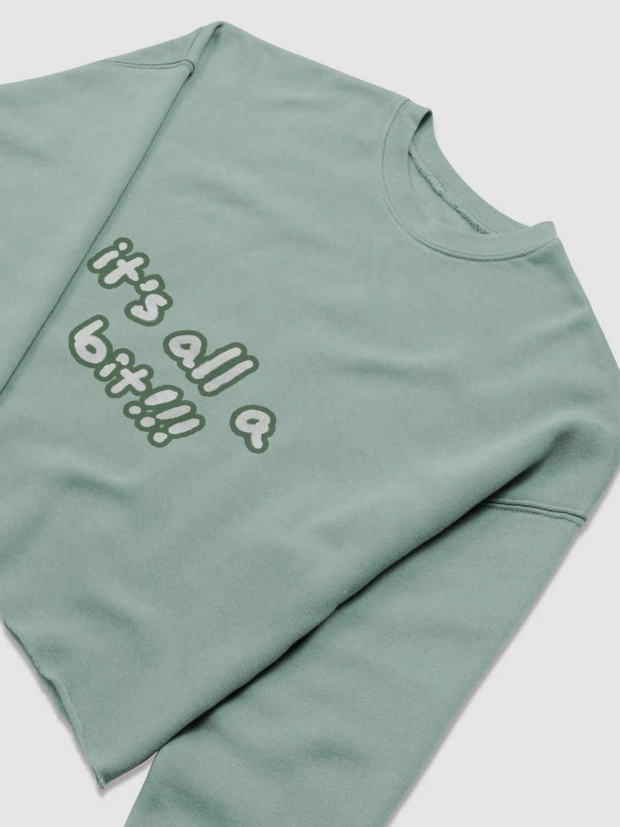 “It’s all a bit!!!” (sm. lined design, #527453) Women's Fleece Crop Sweatshirt product image (13)