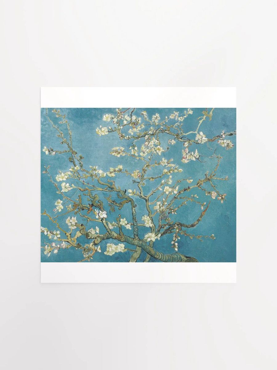 Almond Blossom by Vincent Van Gogh product image (1)