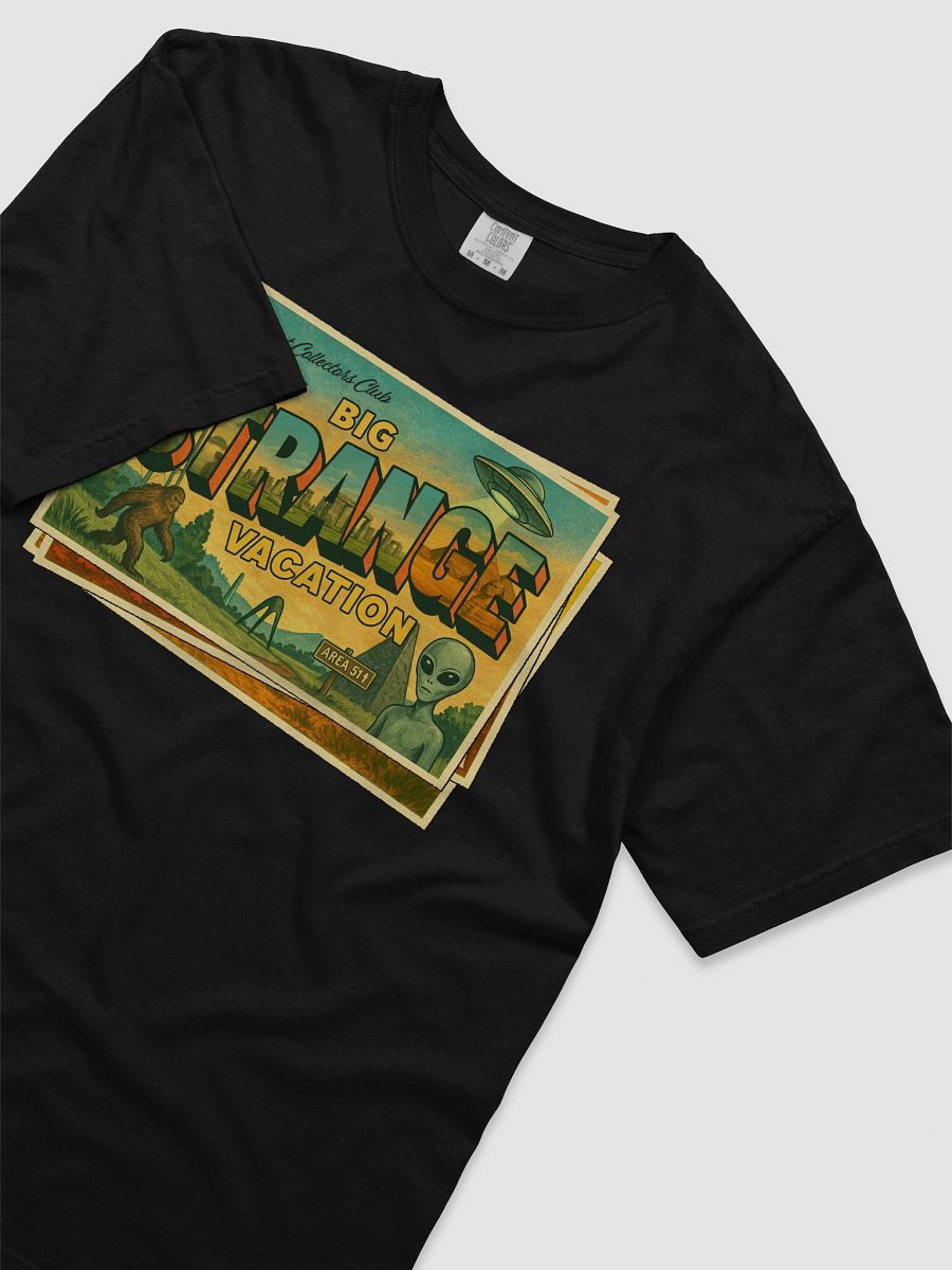 Big Strange Vacation product image (19)