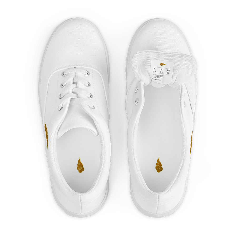 Golden Cloud Men's Taiji Shoes product image (4)