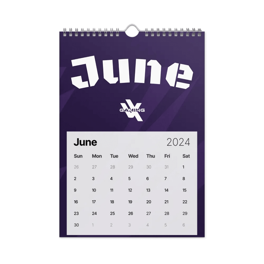 The Official VX Gaming Calendar product image (8)