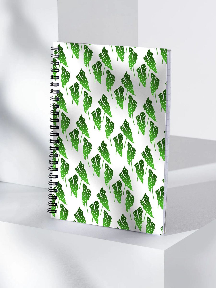 Begonia Maculata Print product image (4)