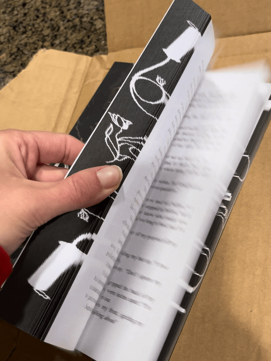 BW Special Edition Paperback of Taken, not Destroyed product image (3)