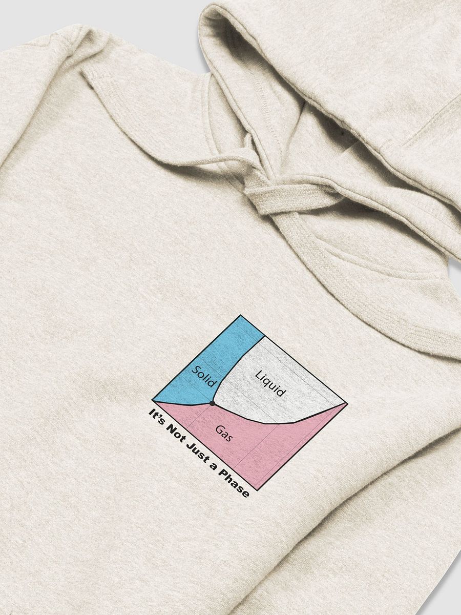 It's Not Just a Phase- Trans Sweatshirt product image (9)
