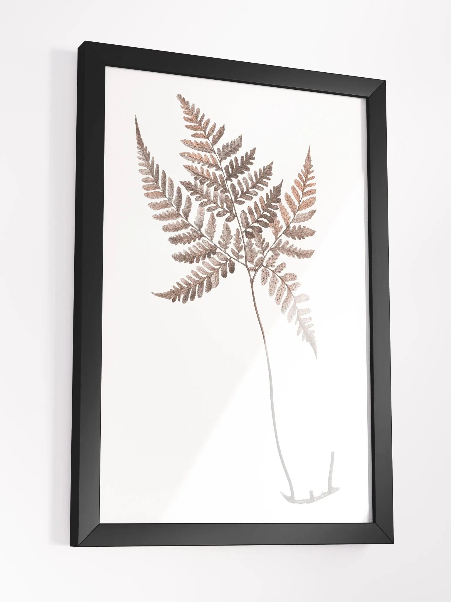 Ecotone Fern #1 Framed Print product image (3)