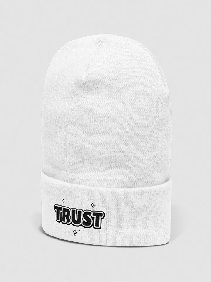 TRUST Cuffed Beanie product image (7)