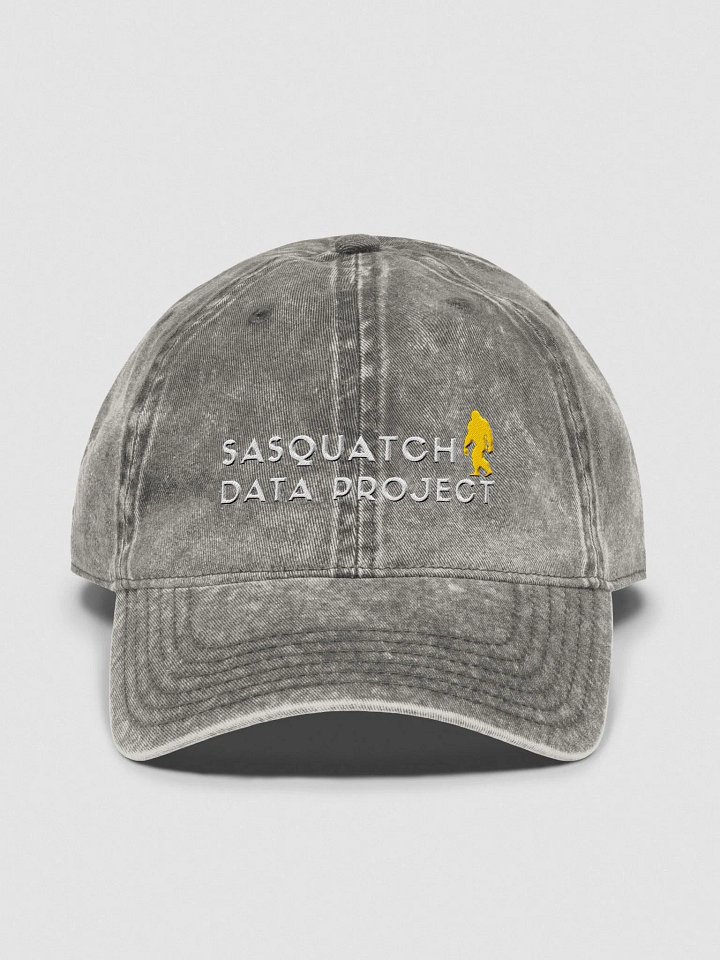 SDP Dad Hat product image (4)
