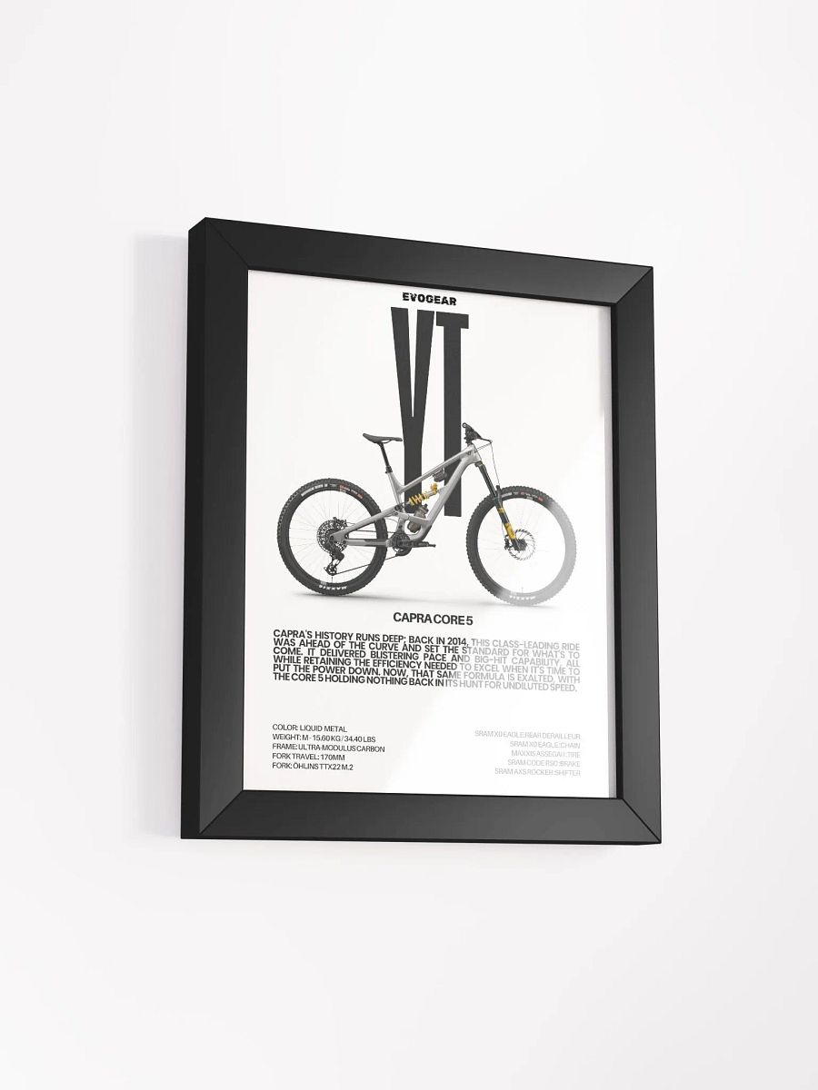 YT Capra Core 5 Frame product image (2)