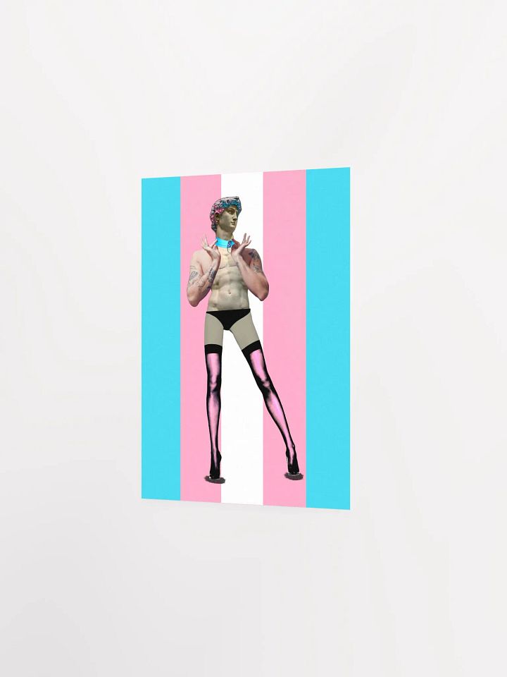 Trans Day of Visibility 4 Poster product image (2)