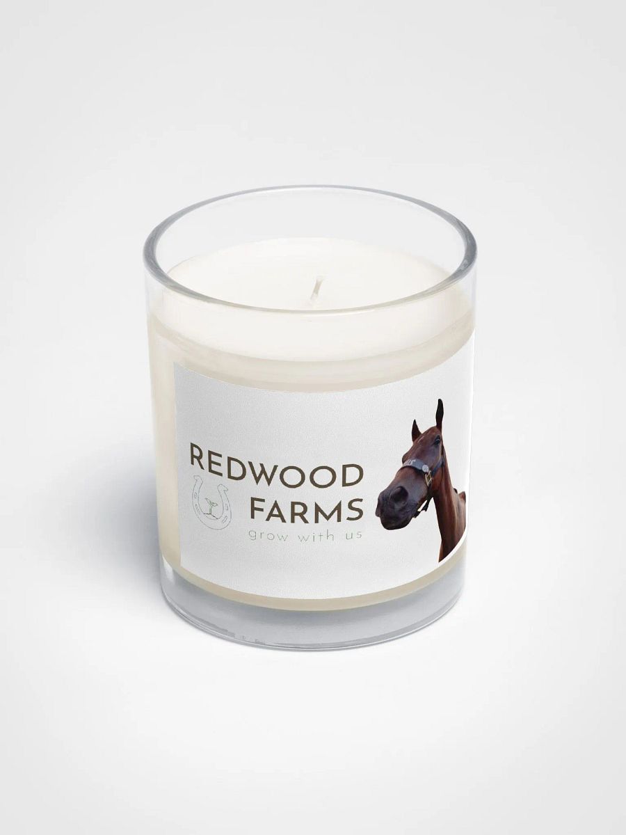 Remember product image (2)