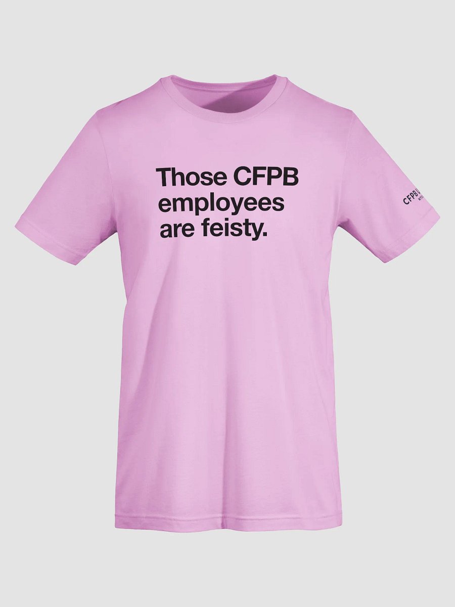 Those CFPB Employees are Feisty (Black) product image (5)