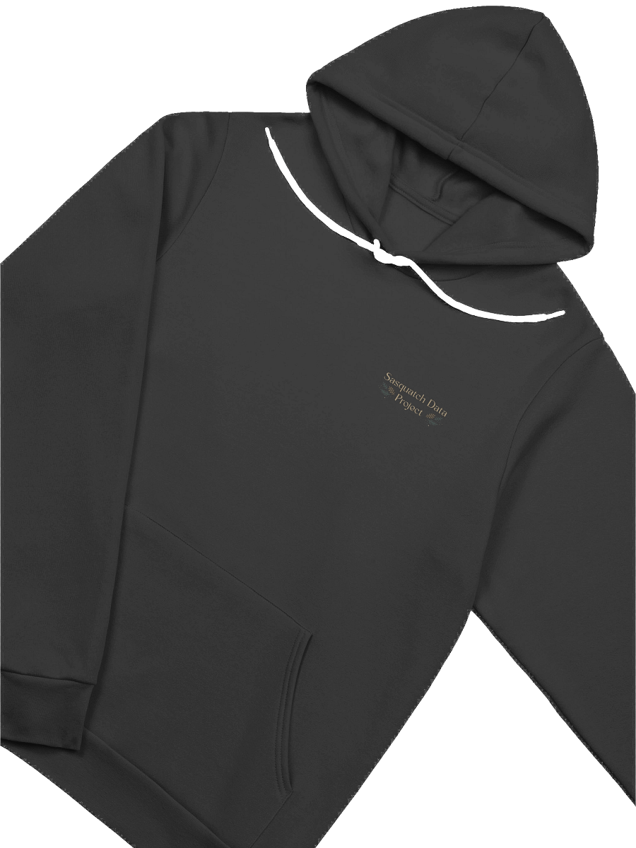 Celestial Sasquatch Hoodie product image (3)
