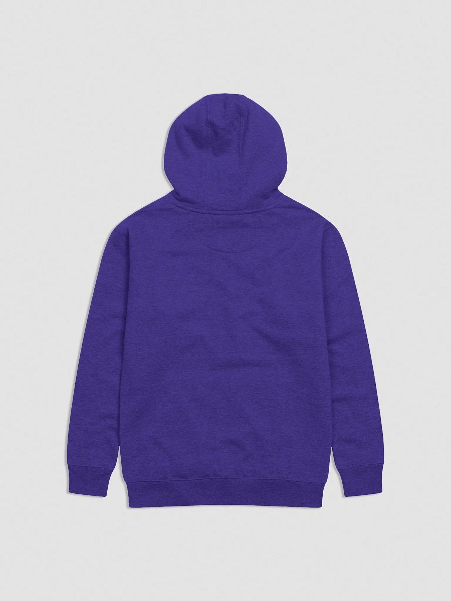 Embroidered Hoodie product image (3)