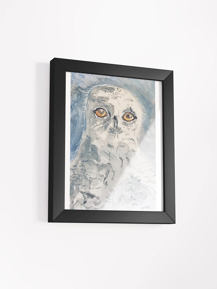 White Owl product image (6)