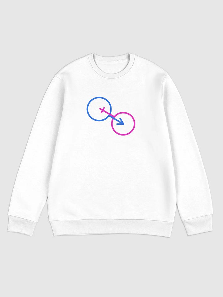 Gender Norm Connection Sweatshirt product image (1)