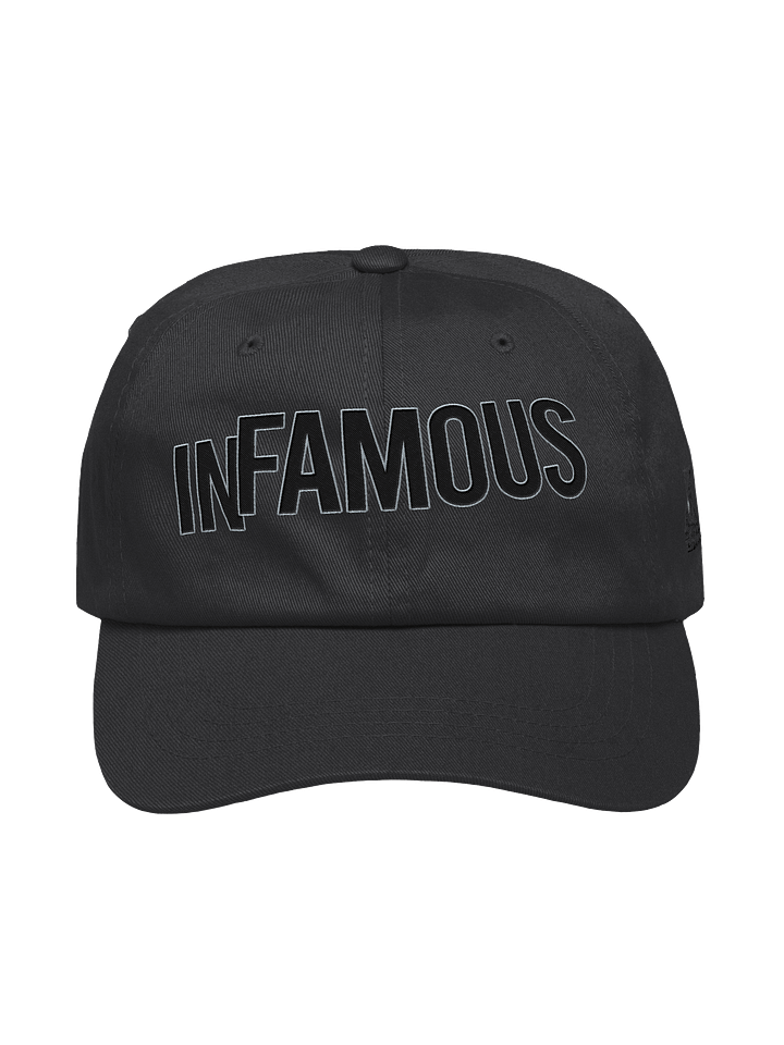 The @nathyn.trees INFAMOUS Cap in Black product image (1)