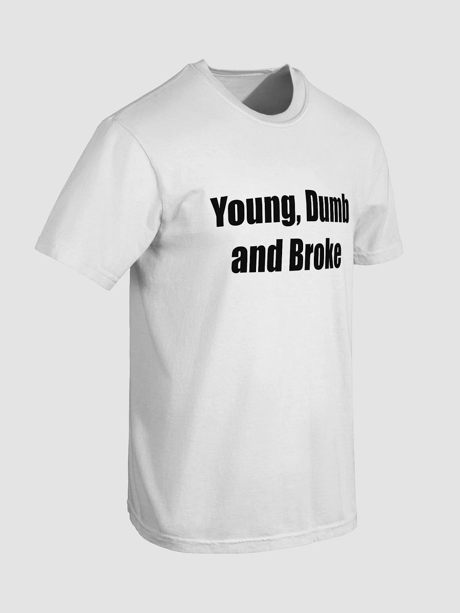 Young, Dumb and Broke product image (46)