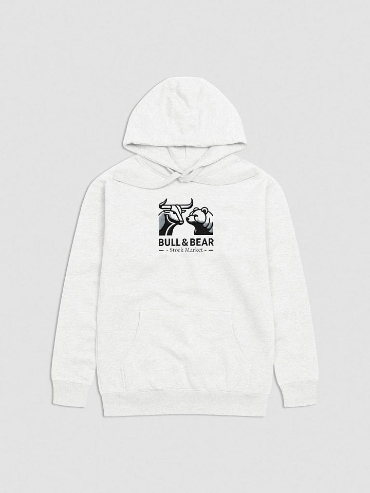 BULL&BEAR / HOODIE BORDADA product image (1)