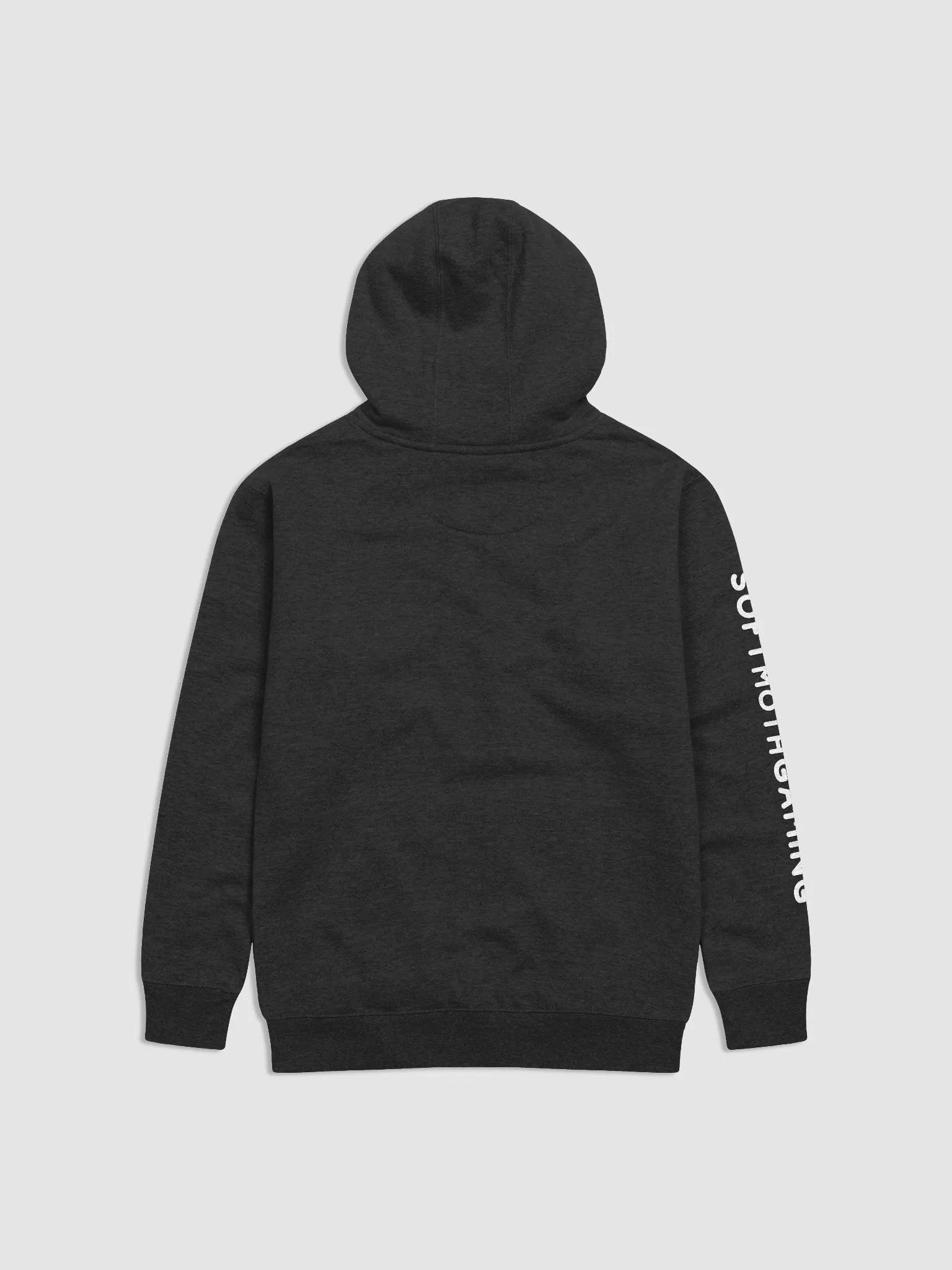 Reaching for Life Hoodie product image (20)