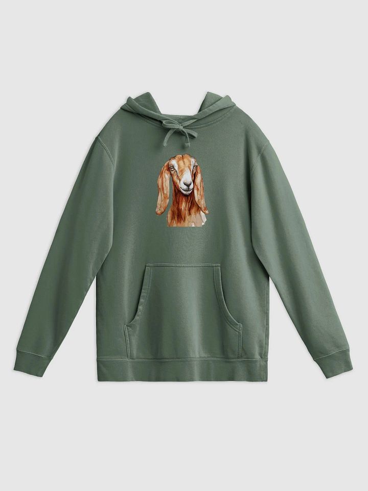 Dreamy Nubian Pigment Dyed Hoodie product image (1)