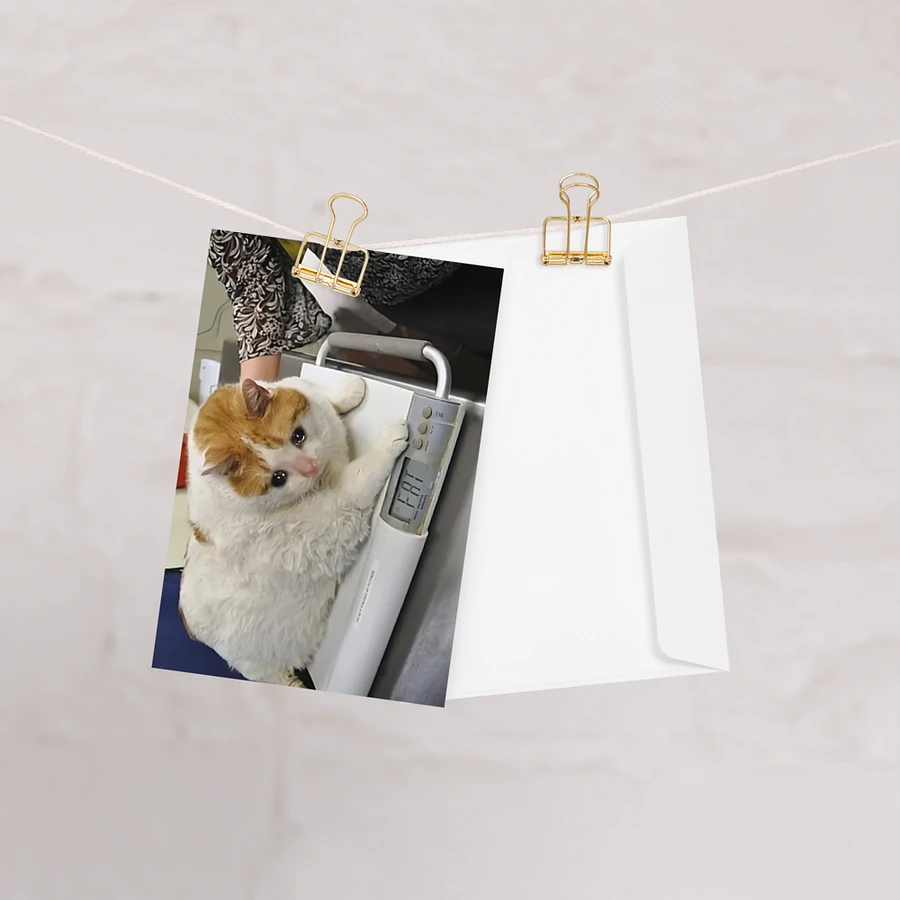 Greeting Card: Meme Cats product image (28)