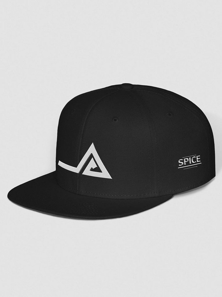 SNAPBACK product image (2)