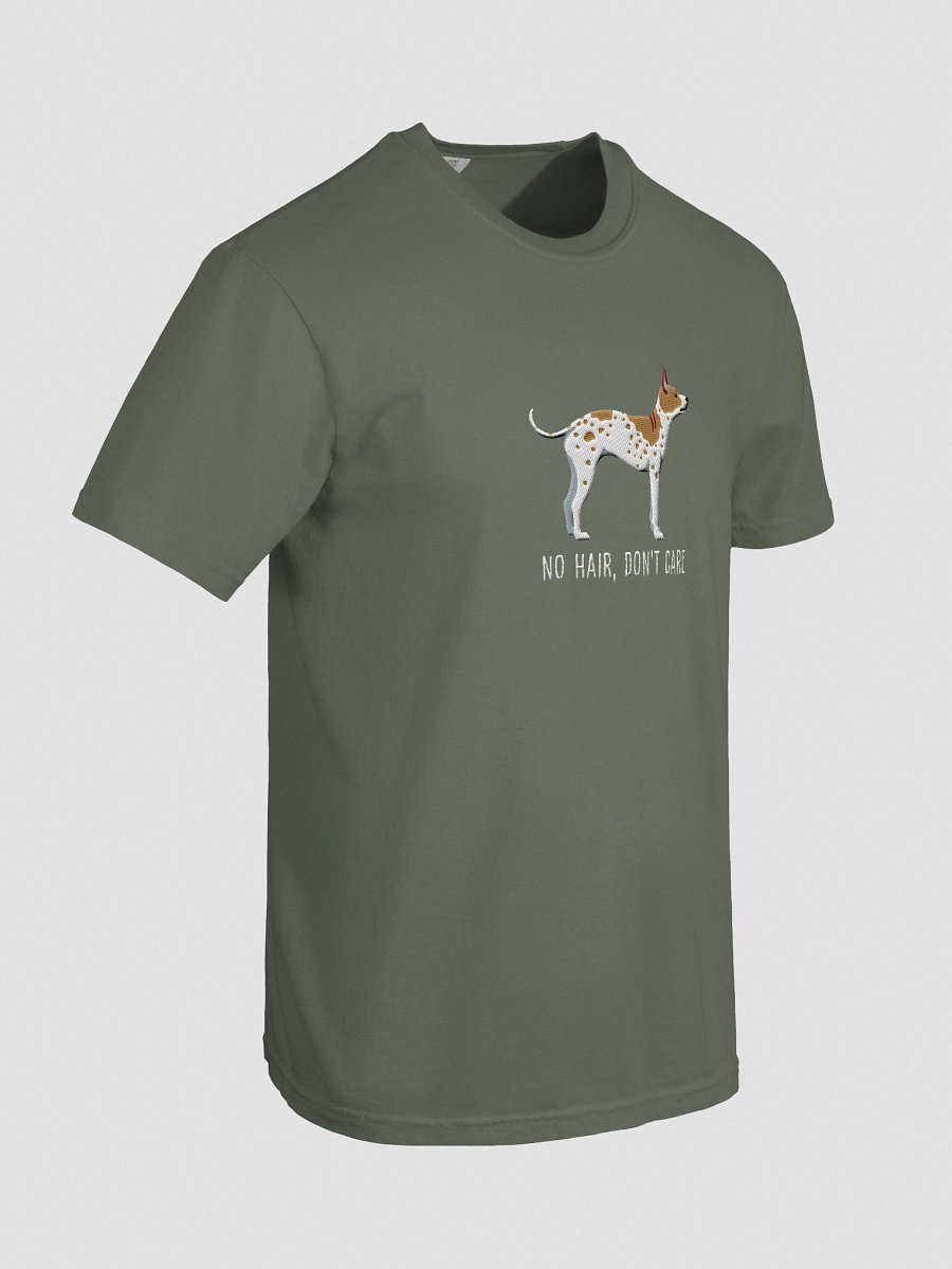 No Hair, Don't Care T-Shirt(Embroidered) of an American Hairless Terrier(Brown & White) product image (43)