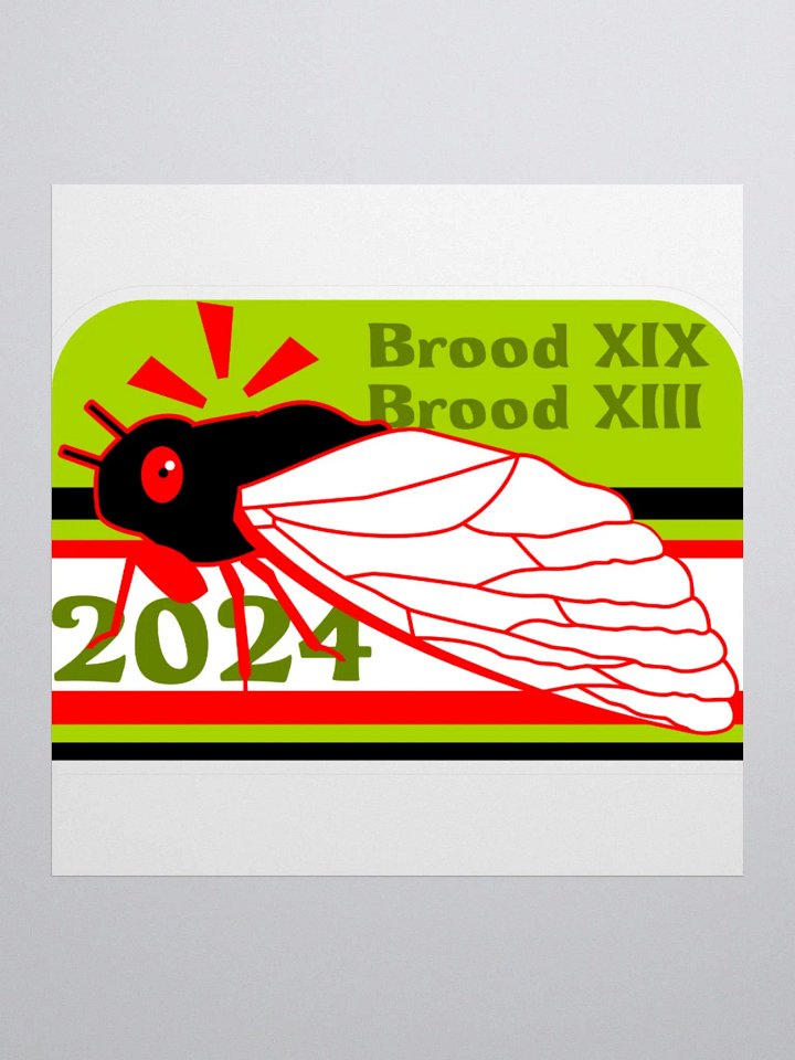 Cicada Connection product image (1)