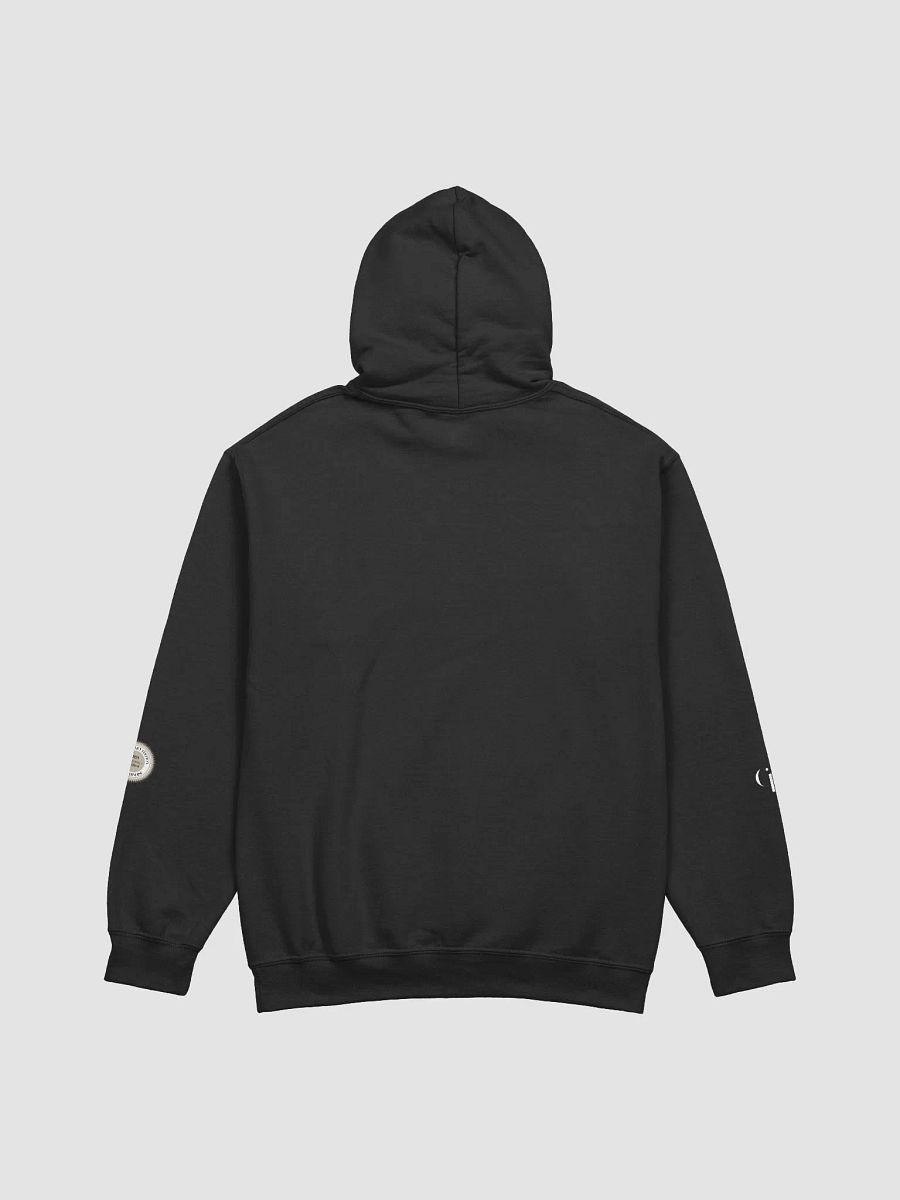 BLUE NigNog Hoodie product image (2)