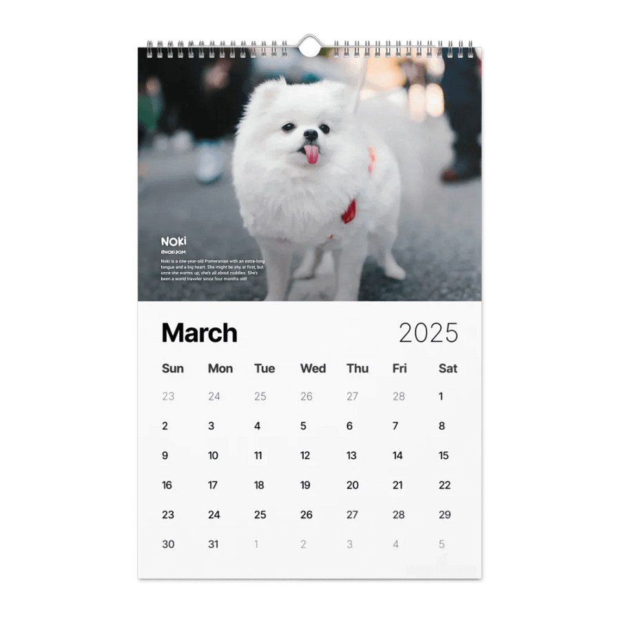 Official 2025 Calendar product image (9)