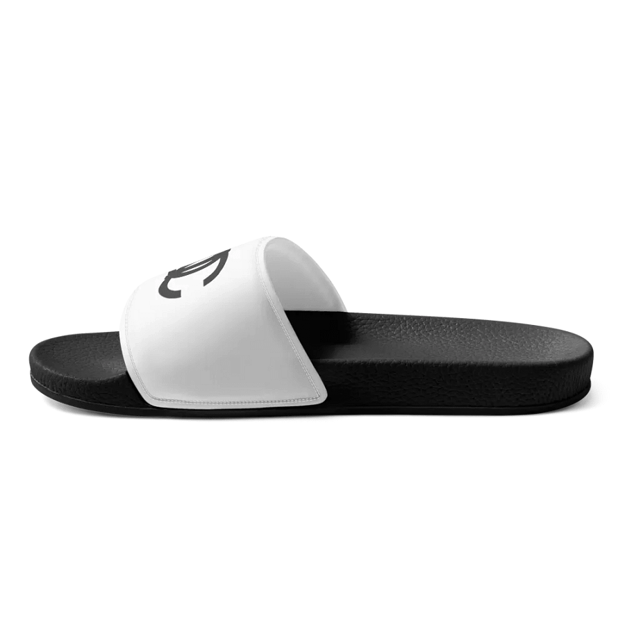 IGC Slides product image (8)