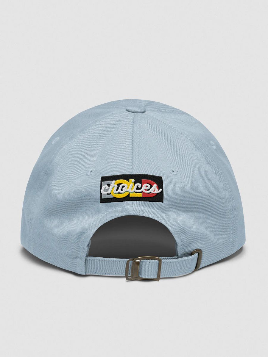 "Bold Choices" baseball hat product image (2)