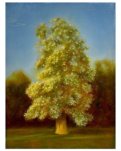 Halfway There
Oil on Canvas
9” x 12”
Available for purchase