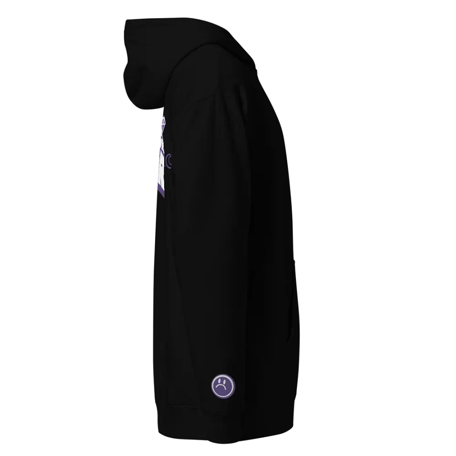 Y2K Collection - Pullover Hoodie product image (7)