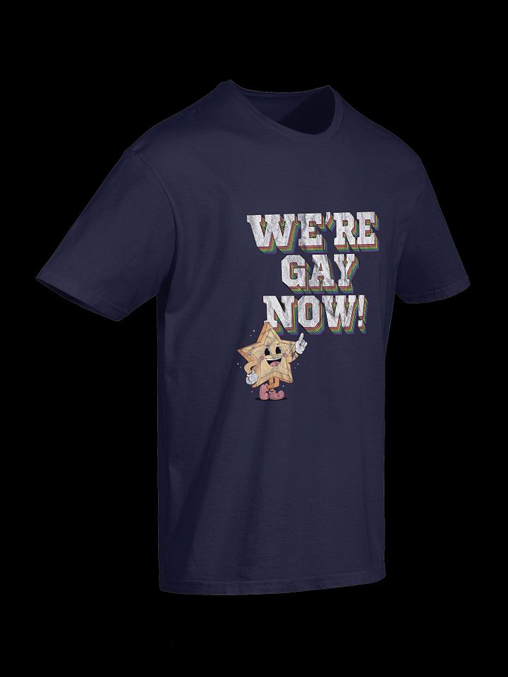 "WE'RE GAY NOW!" Vintage Supersoft Tee product image (2)
