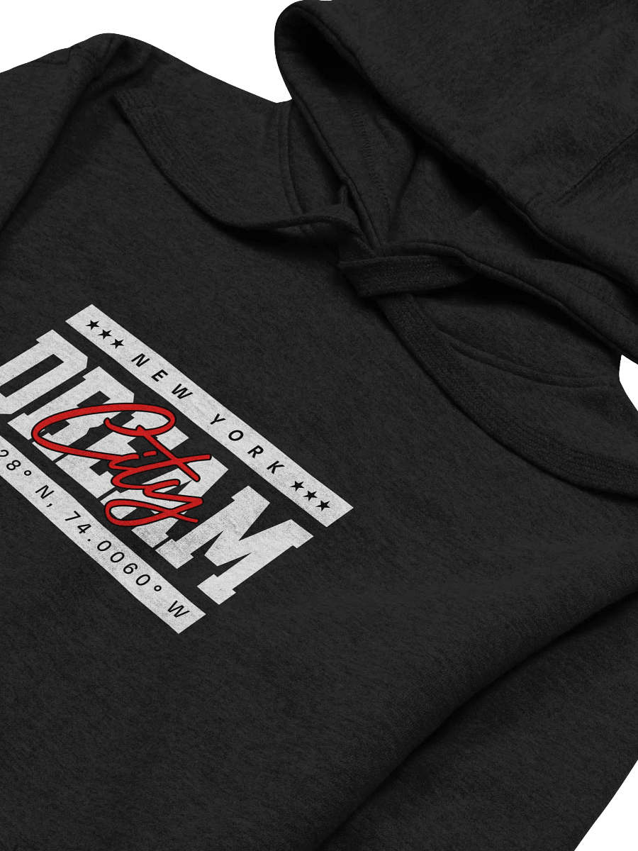 NYC Dream Coordinates Premium Hoodie product image (3)
