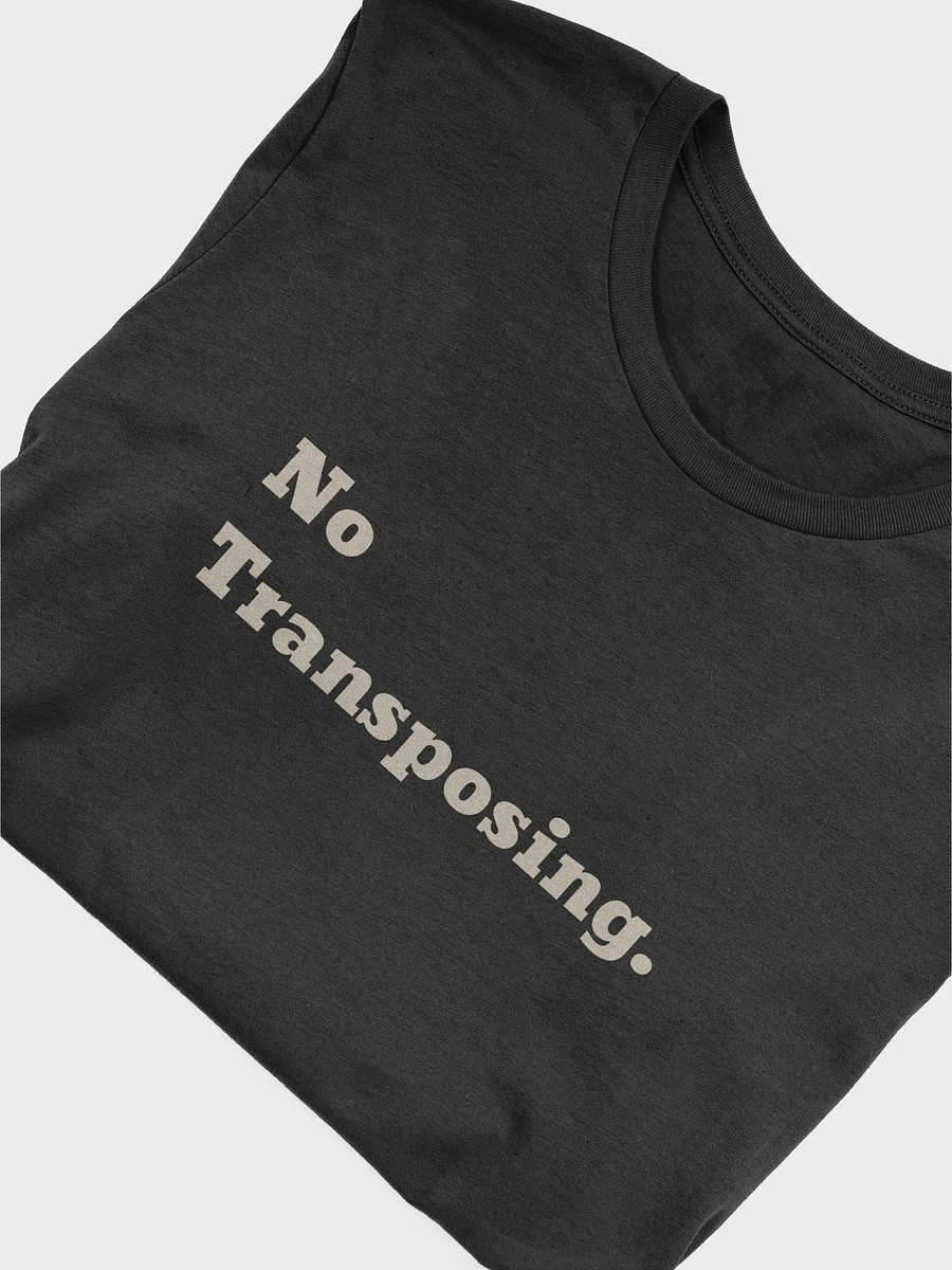 No Transposing T-Shirt - Black product image (5)