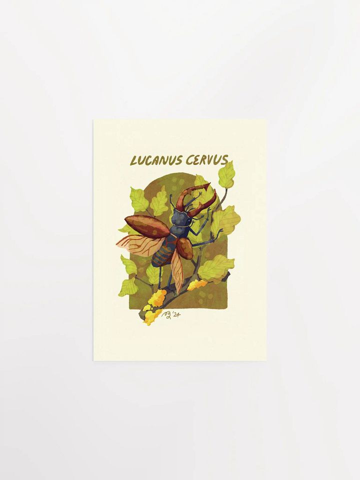 Stag Beetle Print product image (2)