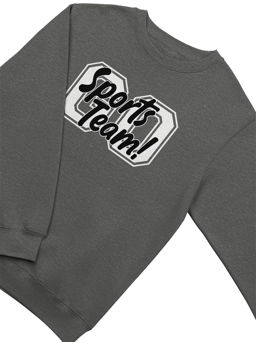 Go Sports Team! product image (1)