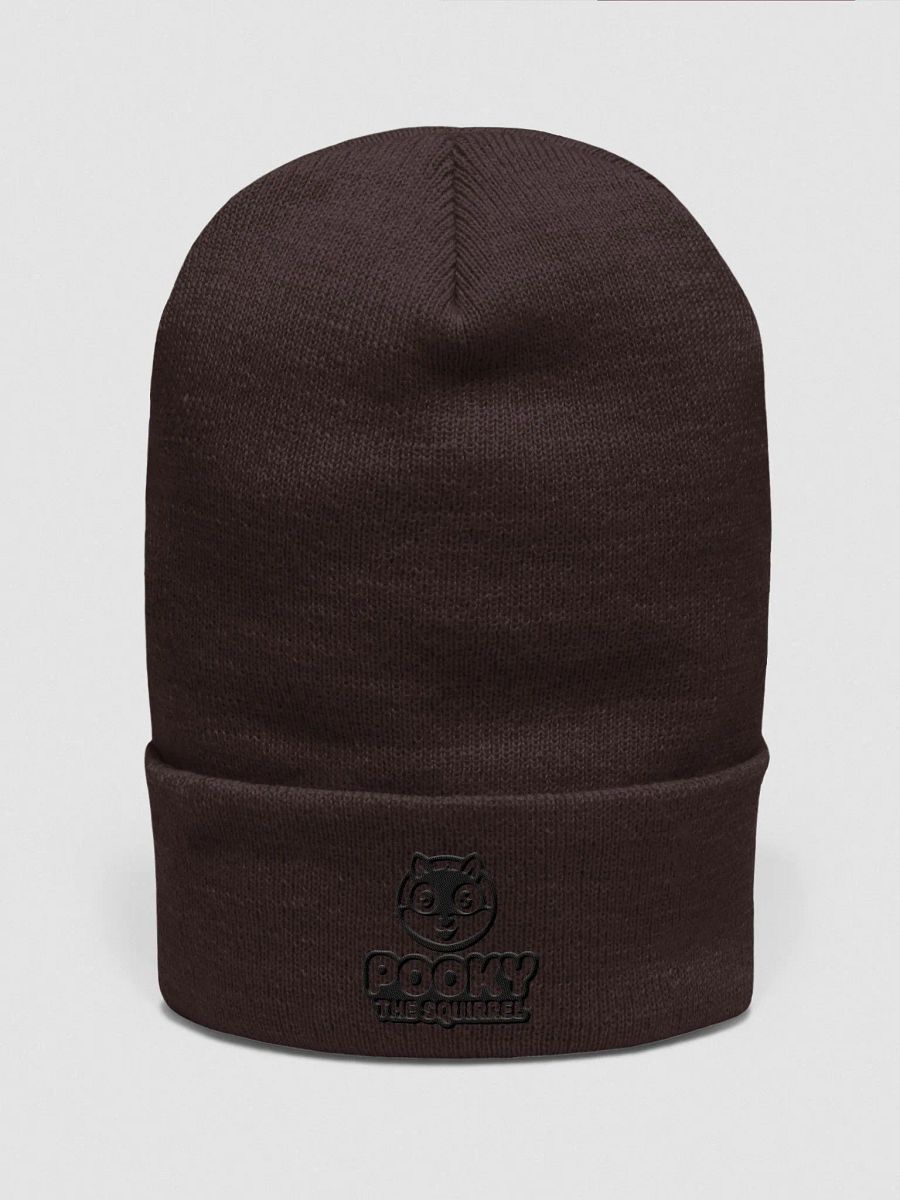 Official Pooky the Squirrel Logo Supersoft Beanie product image (1)