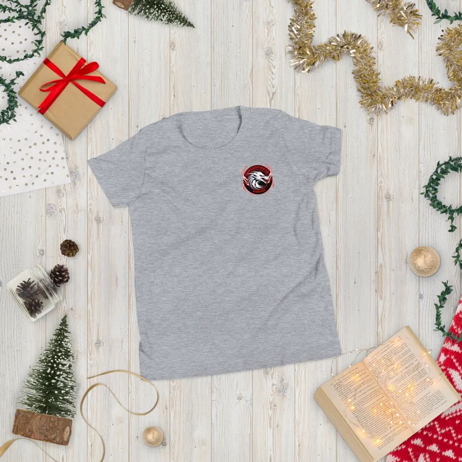 Dragonfire46 Gaming Official Youth Tee Merch product image (5)