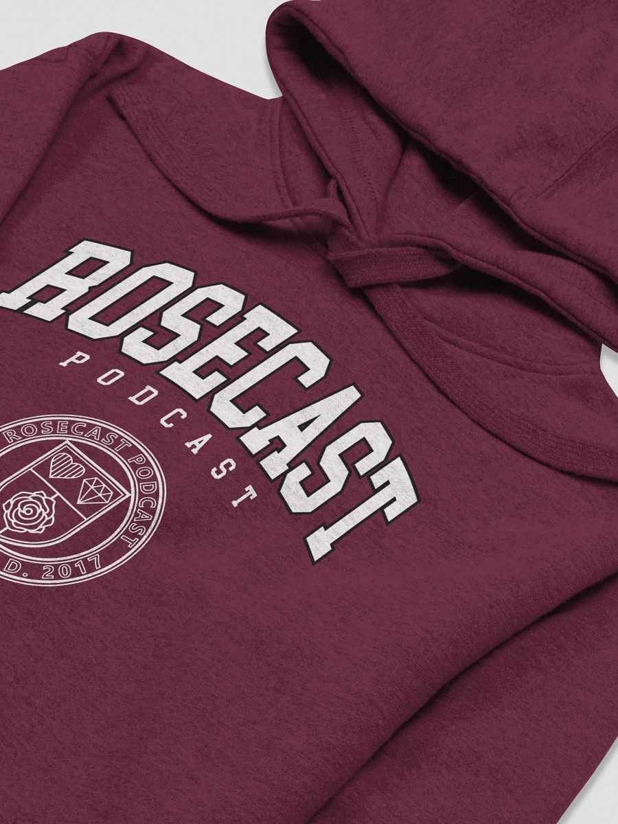 Fancy College Hoodie (Premium) product image (1)
